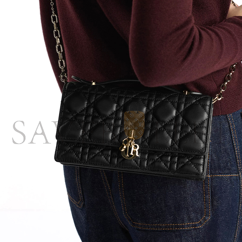 D*or my D*or mini bag s0980onmj_m900 (21*11*5cm)